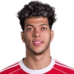 Portrett av Emam Ashour Metwally Abdelghany