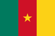 Cameroon W logo